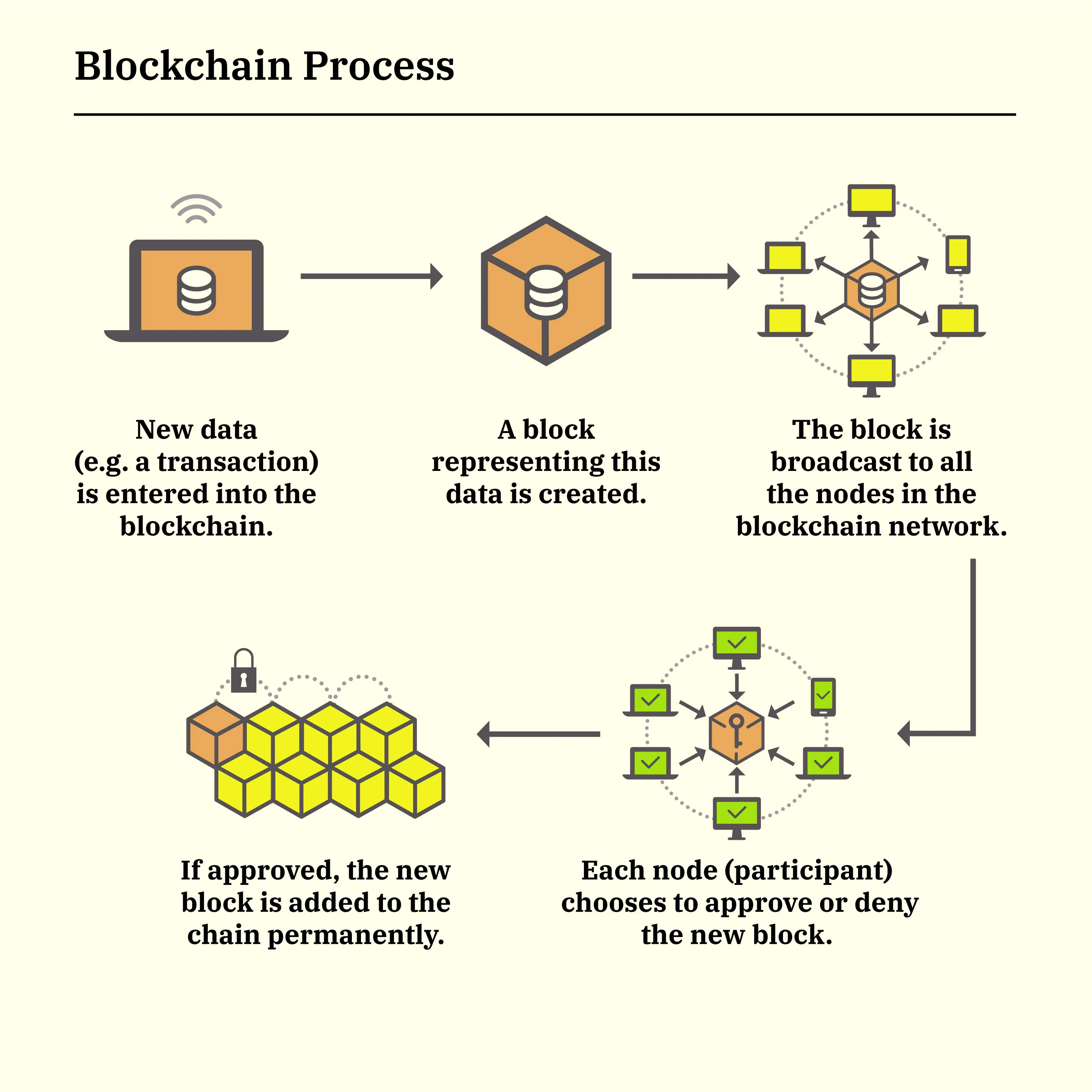 Blockchain Network